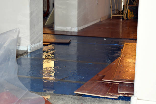 Professional Sewage Cleanup technician working in Island Lake, IL